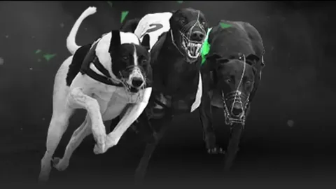 英足总杯：谭禾夫率半职球队战至加时，后卫巧施丹式转身荣膺最佳球员